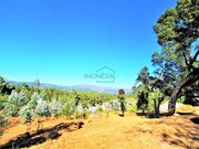 Terreno R�stico - Freixieiro de Soutelo, Viana do Castelo, Viana do Castelo - Miniatura: 1/9