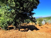 Terreno R�stico - Freixieiro de Soutelo, Viana do Castelo, Viana do Castelo - Miniatura: 2/9