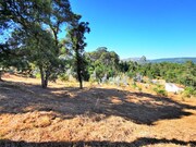 Terreno R�stico - Freixieiro de Soutelo, Viana do Castelo, Viana do Castelo - Miniatura: 9/9