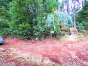 Terreno R�stico - Venade, Caminha, Viana do Castelo - Miniatura: 3/5