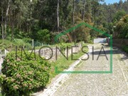 Terreno R�stico - Moledo, Caminha, Viana do Castelo - Miniatura: 3/3