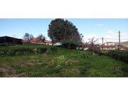 Terreno R�stico - �ncora, Caminha, Viana do Castelo - Miniatura: 2/3