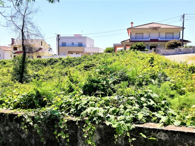 Terreno R�stico - Afife, Viana do Castelo, Viana do Castelo - Imagem grande