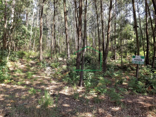 Terreno R�stico - Vilar de Mouros, Caminha, Viana do Castelo - Imagem grande