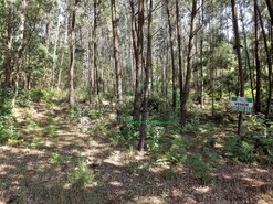 Terreno R�stico - Vilar de Mouros, Caminha, Viana do Castelo