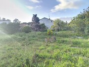Terreno R�stico - �ncora, Caminha, Viana do Castelo - Miniatura: 6/9