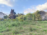 Terreno R�stico - �ncora, Caminha, Viana do Castelo - Miniatura: 8/9