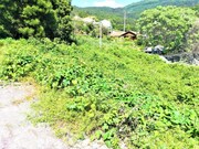 Terreno R�stico - Afife, Viana do Castelo, Viana do Castelo - Miniatura: 1/2