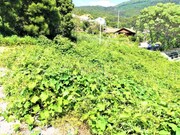 Terreno R�stico - Afife, Viana do Castelo, Viana do Castelo - Miniatura: 2/2