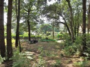 Terreno R�stico - Vilar de Mouros, Caminha, Viana do Castelo - Miniatura: 2/4
