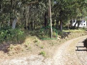 Terreno R�stico - Vilar de Mouros, Caminha, Viana do Castelo - Miniatura: 3/4