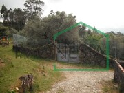 Terreno R�stico - Dem, Caminha, Viana do Castelo - Miniatura: 7/9