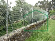 Terreno R�stico - Dem, Caminha, Viana do Castelo - Miniatura: 9/9