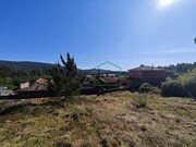 Terreno R�stico - Vile, Caminha, Viana do Castelo - Miniatura: 3/3