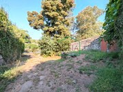 Quinta T3 - Riba de �ncora, Caminha, Viana do Castelo - Miniatura: 9/9