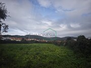 Terreno R�stico - Vila Praia de �ncora, Caminha, Viana do Castelo - Miniatura: 5/6