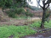 Outros - Venade, Caminha, Viana do Castelo - Miniatura: 1/6