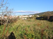 Terreno R�stico - Moledo, Caminha, Viana do Castelo - Miniatura: 1/3
