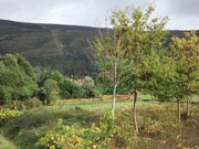 Terreno R�stico - Venade, Caminha, Viana do Castelo - Miniatura: 2/5
