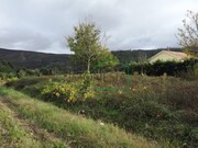 Terreno R�stico - Venade, Caminha, Viana do Castelo - Miniatura: 3/5