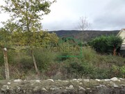 Terreno R�stico - Venade, Caminha, Viana do Castelo - Miniatura: 4/5