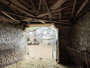 Moradia - Arga de So Joo, Caminha, Viana do Castelo - Miniatura: 5/9