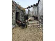 Moradia - Arga de So Joo, Caminha, Viana do Castelo - Miniatura: 7/9