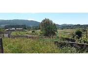Terreno R�stico - Riba de �ncora, Caminha, Viana do Castelo - Miniatura: 3/4