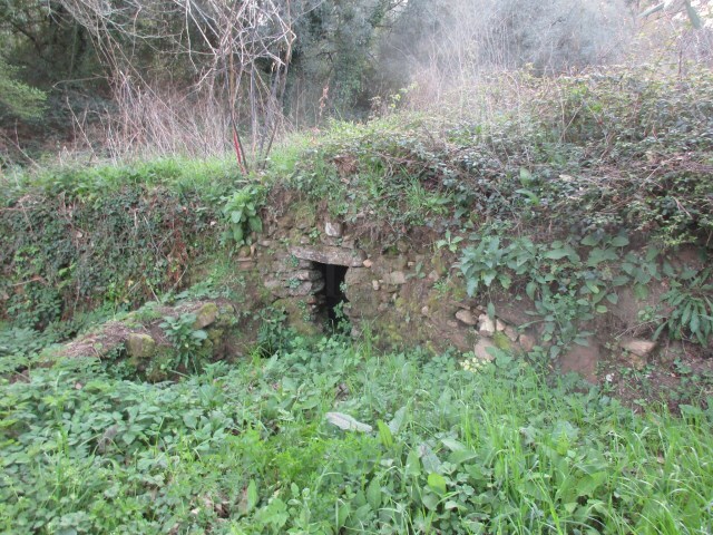Terreno R�stico - Fornelos, Ponte de Lima, Viana do Castelo - Imagem grande