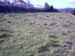 Terreno R�stico - Infesta, Paredes de Coura, Viana do Castelo