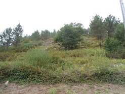 Terreno Urbano - Facha, Ponte de Lima, Viana do Castelo