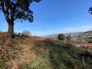 Terreno R�stico - Infesta, Paredes de Coura, Viana do Castelo - Miniatura: 3/9