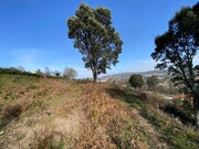 Terreno R�stico - Infesta, Paredes de Coura, Viana do Castelo - Miniatura: 5/9