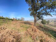 Terreno R�stico - Infesta, Paredes de Coura, Viana do Castelo - Miniatura: 6/9