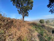 Terreno R�stico - Infesta, Paredes de Coura, Viana do Castelo - Miniatura: 7/9