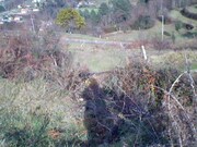 Terreno R�stico - Infesta, Paredes de Coura, Viana do Castelo - Miniatura: 9/9