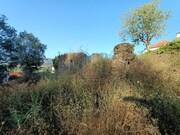 Terreno R�stico - Anais, Ponte de Lima, Viana do Castelo - Miniatura: 1/6