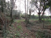 Terreno R�stico - Fornelos, Ponte de Lima, Viana do Castelo - Miniatura: 2/5