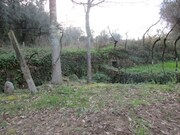 Terreno R�stico - Fornelos, Ponte de Lima, Viana do Castelo - Miniatura: 5/5