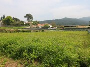 Terreno R�stico - Afife, Viana do Castelo, Viana do Castelo - Miniatura: 1/3