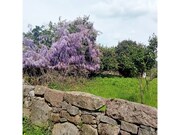 Quinta T6 - Airo Santa Maria, Airo So Joo e Vermil, Guimares, Braga - Miniatura: 8/9