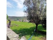 Quinta T6 - Airo Santa Maria, Airo So Joo e Vermil, Guimares, Braga - Miniatura: 9/9