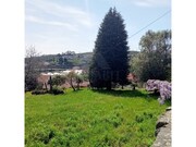 Quinta T6 - Airo Santa Maria, Airo So Joo e Vermil, Guimares, Braga - Miniatura: 8/9