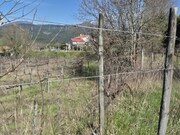 Outros - �zere, Arcos de Valdevez, Viana do Castelo - Miniatura: 3/6