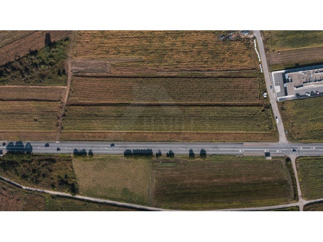Terreno R�stico - Carre�o, Viana do Castelo, Viana do Castelo - Imagem grande