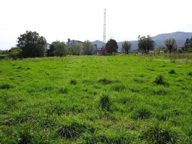 Terreno R�stico - Cabra��o e Moreira do Lima, Ponte de Lima, Viana do Castelo - Imagem grande