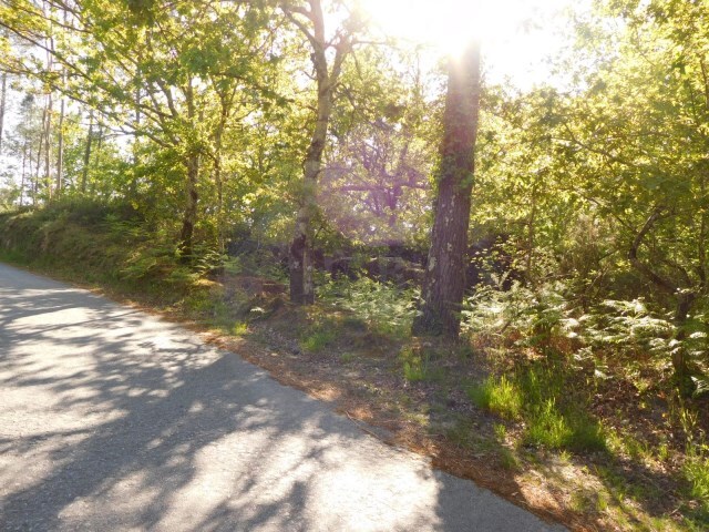 Terreno R�stico - Coura, Paredes de Coura, Viana do Castelo - Imagem grande