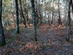 Terreno R�stico - Anais, Ponte de Lima, Viana do Castelo