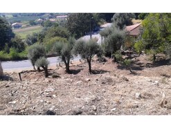 Terreno R�stico - Facha, Ponte de Lima, Viana do Castelo