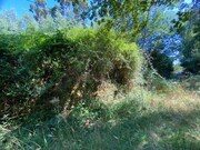Quinta - Infesta, Paredes de Coura, Viana do Castelo - Miniatura: 4/9